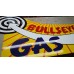 Bullseye Gas Animated  7 FT W x 5 FT H (in process)