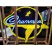 New Grumman Painted Neon Sign 60" Diameter